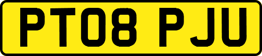 PT08PJU