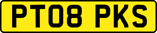 PT08PKS