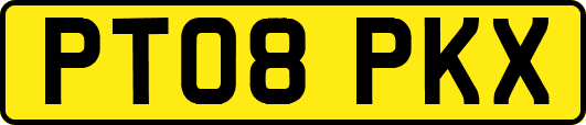 PT08PKX