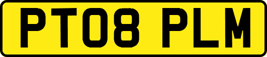 PT08PLM