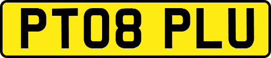 PT08PLU