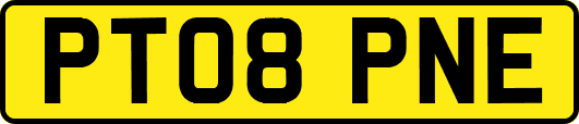 PT08PNE