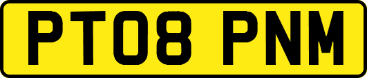 PT08PNM