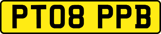 PT08PPB