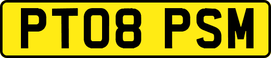 PT08PSM