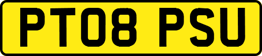 PT08PSU