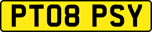 PT08PSY