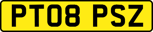 PT08PSZ