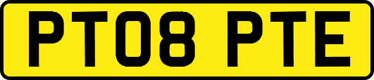 PT08PTE
