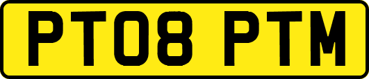 PT08PTM