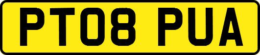 PT08PUA