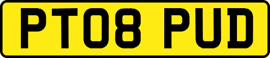 PT08PUD