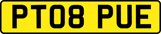 PT08PUE