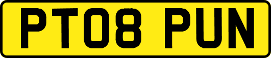 PT08PUN