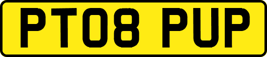 PT08PUP