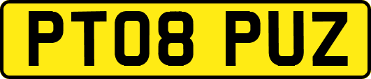 PT08PUZ