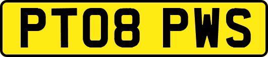 PT08PWS