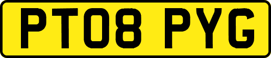 PT08PYG