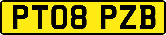 PT08PZB