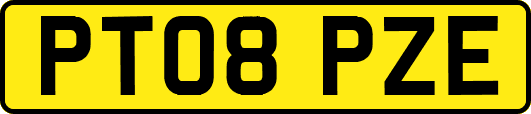 PT08PZE