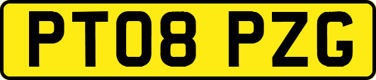 PT08PZG