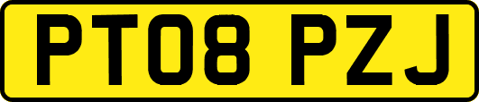 PT08PZJ