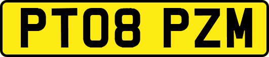 PT08PZM