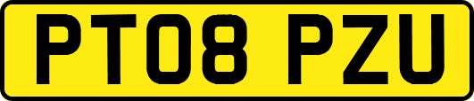 PT08PZU