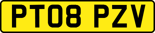 PT08PZV