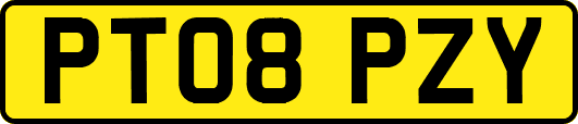 PT08PZY