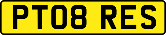 PT08RES