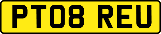 PT08REU