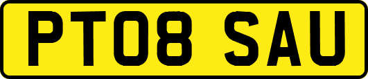 PT08SAU