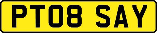 PT08SAY