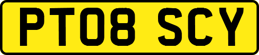 PT08SCY