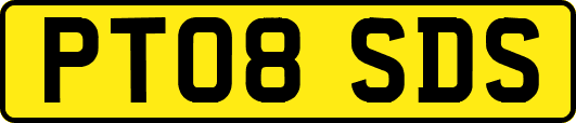 PT08SDS