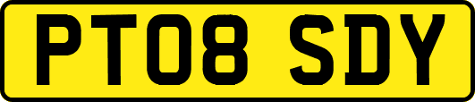 PT08SDY