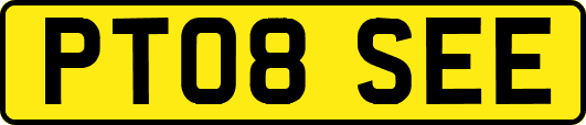 PT08SEE