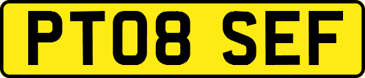 PT08SEF