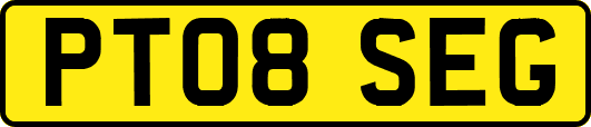 PT08SEG