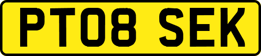 PT08SEK