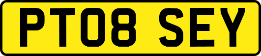 PT08SEY