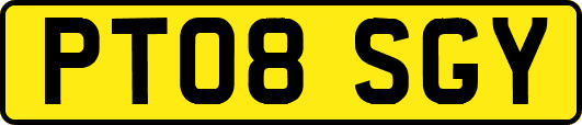 PT08SGY