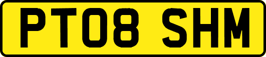 PT08SHM