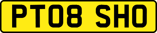 PT08SHO