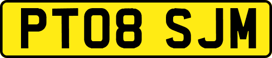 PT08SJM