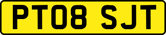 PT08SJT