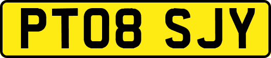 PT08SJY
