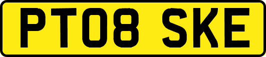 PT08SKE