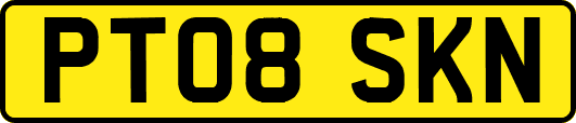 PT08SKN